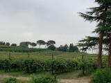 Particella, FORNACE, 385.000 €