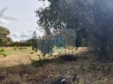 Particella, SINISCOLA, 85.000 €, 644,00 mq