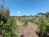 Particella, CARBONIA, 80.000 €, 1409,00 mq