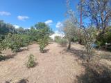 Casa, SELARGIUS, 250.000 €, 80,00 mq