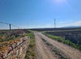 Particella, PISA, 43.000 €, 4880,00 mq