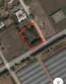 Particella, ANZIO, 54.000 €, 900,00 mq