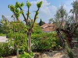 Casa, JESI, 780.000 €, 377,00 mq