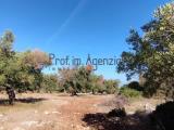 Particella, CAROVIGNO, 105.000 €, 17600,00 mq