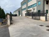 Superfici commerciali, SAN CESAREO, 740.000 €, 605,00 mq