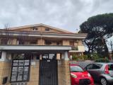 Affitto, Appartamento, MARINO, 685 €, 50,00 mq