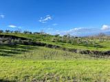 Particella, MONTAIONE, 120.000 €