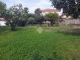 Particella, CASSANO MAGNAGO, 62.000 €, 1000,00 mq