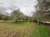 Particella, GIFFONI VALLE PIANA, 35.000 €, 2100,00 mq