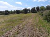 Particella, CONTRADA, 288.000 €, 200,00 mq