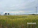 Particella, MONTALTO DI CASTRO, 90.000 €, 33000,00 mq