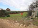 Particella, MARTINA FRANCA, <i>A richiesta</i>, 210,00 mq