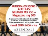 Affitto, Superfici commerciali, BUSSOLENGO, 8.000 €, 1000,00 mq