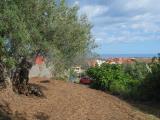 Particella, PACE DEL MELA, 28.000 €, 2000,00 mq