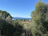 Particella, FOLLONICA, 75.000 €, 3600,00 mq