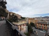 Affitto, Superfici commerciali, GENOVA, <i>A richiesta</i>, 600,00 mq