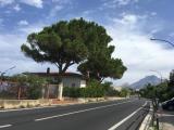 Casa, CONTRADA, 435.000 €, 188,00 mq