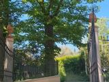 Appartamento, RIMINI, 360.000 €, 116,00 mq