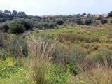Particella, RAPALLO, 58.000 €, 6816,00 mq