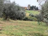 Particella, CINIGIANO, 330.000 €, 180,00 mq