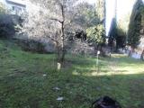 Particella, GAMBASSI TERME, 80.000 €, 1100,00 mq