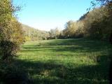 Particella, VAGLIA, 35.000 €, 8100,00 mq