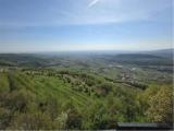 Particella, NEGRAR, 200.000 €, 9260,00 mq