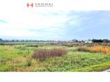Particella, FIRENZE, 65.000 €, 8900,00 mq