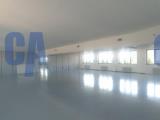 Affitto, Superfici commerciali, SEGRATE, 13.200 €, 1320,00 mq