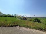 Particella, ALBETTONE, 299.000 €, 3000,00 mq