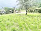 Appartamento, MASSAROSA, 180.000 €, 100,00 mq