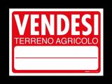Particella, MARIANO COMENSE, 14.160 €, 1180,00 mq