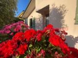 Casa, CERRETO GUIDI, 407.000 €, 248,00 mq