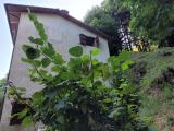 Casa, BAGNI DI LUCCA, 200.000 €, 210,00 mq