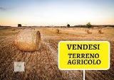 Particella, MARCON, 70.000 €, 2600,00 mq