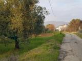 Particella, CAMPAGNA, 22.000 €, 4585,00 mq
