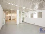 Superfici commerciali, SEGRATE, 250.000 €, 100,00 mq