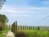 Appartamento, MONTERONI D