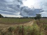 Superfici commerciali, MONTALCINO, 3.500.000 €