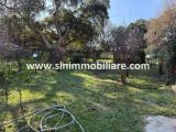 Casa, MONTALTO DI CASTRO, 260.000 €, 120,00 mq