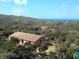 Casa, AGLIENTU, 550.000 €, 175,00 mq