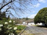 Casa, CAMAIORE, Valpromaro, 520.000 €, 320,00 mq