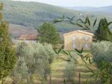 Casa, RADICONDOLI, 980.000 €, 631,00 mq
