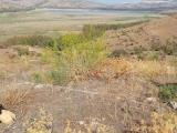 Superfici commerciali, CONTRADA, 78.000 €