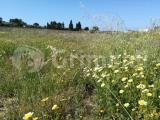 Particella, UGENTO, 12.000 €, 5800,00 mq