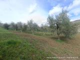 Particella, ISERNIA, 25.000 €, 4360,00 mq