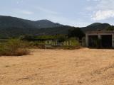 Particella, PADRU, 75.000 €, 900,00 mq