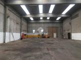 Affitto, Superfici commerciali, SAONARA, 8.000 €, 1200,00 mq