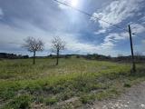Particella, ANGUILLARA SABAZIA, 20.000 €, 11855,00 mq