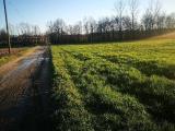 Particella, MORNAGO, 18.000 €, 3000,00 mq